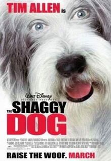 The Shaggy Dog