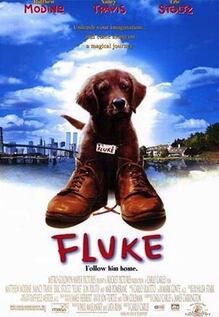 Fluke