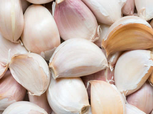 Garlic Danger Alert Reasons Why It Can Be Poisonous The Times Of India