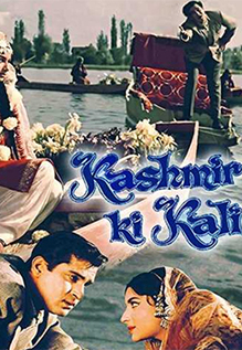 Kashmir Ki Kali