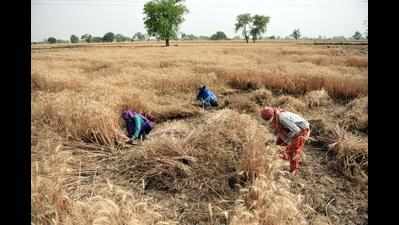 Eight villages marked for land acquisition in Jewar