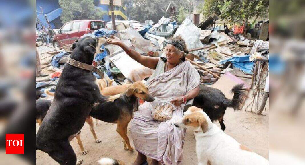 Dog Shelter Dog shelter gone, but caretaker stays put with pets