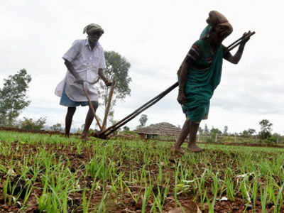 Govt revs up farm growth plan with 'Raftaar'; allocates over Rs 15,700 crore for three years