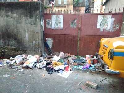 Dengue breeding den - Times of India