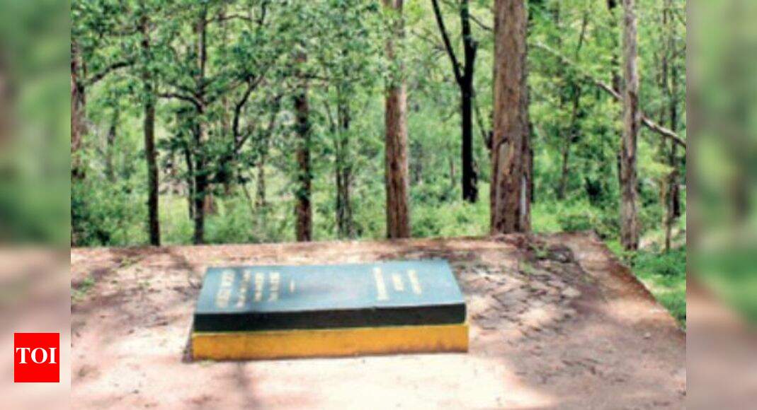 Trees that wouldn’t have been, but for Hugo Wood | Chennai News - Times ...