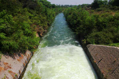 Ken-Betwa river linking project: NGT issues notice to Centre