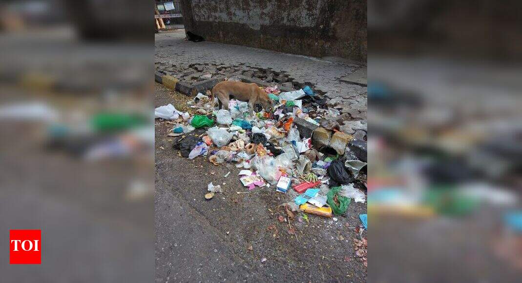 Garbages left near the street in Airoli Sector 17 Times of India