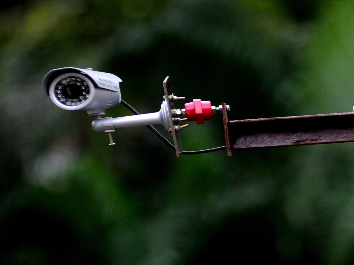 wildlife cctv camera