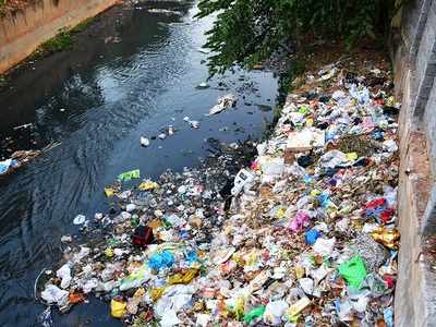 Bengaluru chokes on its own waste, garbage jumps 1,750% in 15 years
