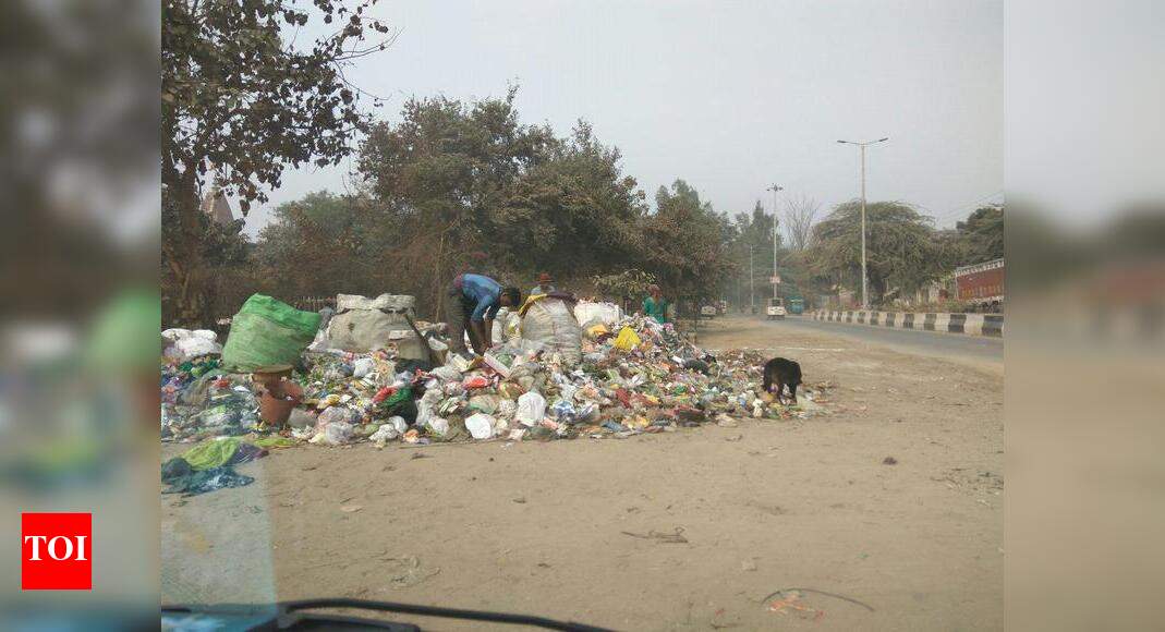 Garbage on the roadside - Times of India