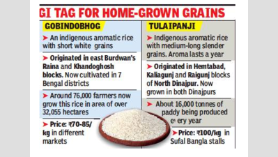 2 rice varieties quietly do a rasogolla