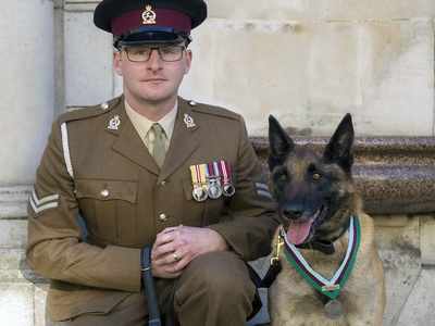 UK military dog awarded medal for saving troops in Afghanistan