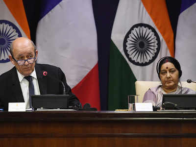 Countries supporting terror must be opposed: India, France