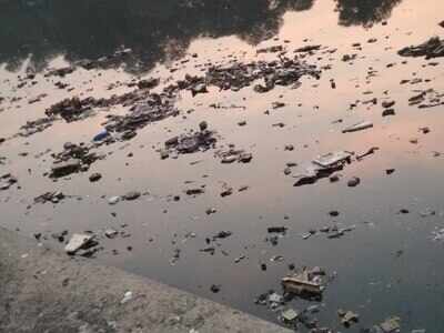 pollution in mithi river - Times of India