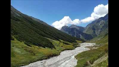 Nurseries for conservation of vegetation species of alpine meadows