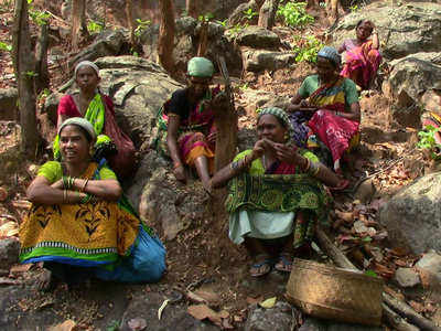 Tribal women lose food basket to commercial timber species: Study