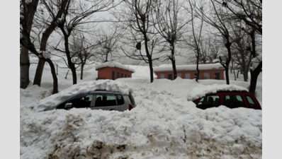 Srinagar-Leh highway closed after heavy snowfall