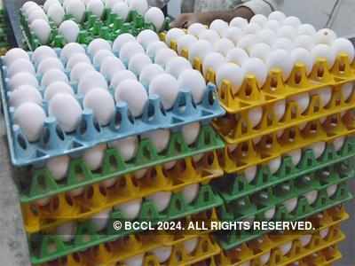 Egg on the boil! Prices shoot up 40%