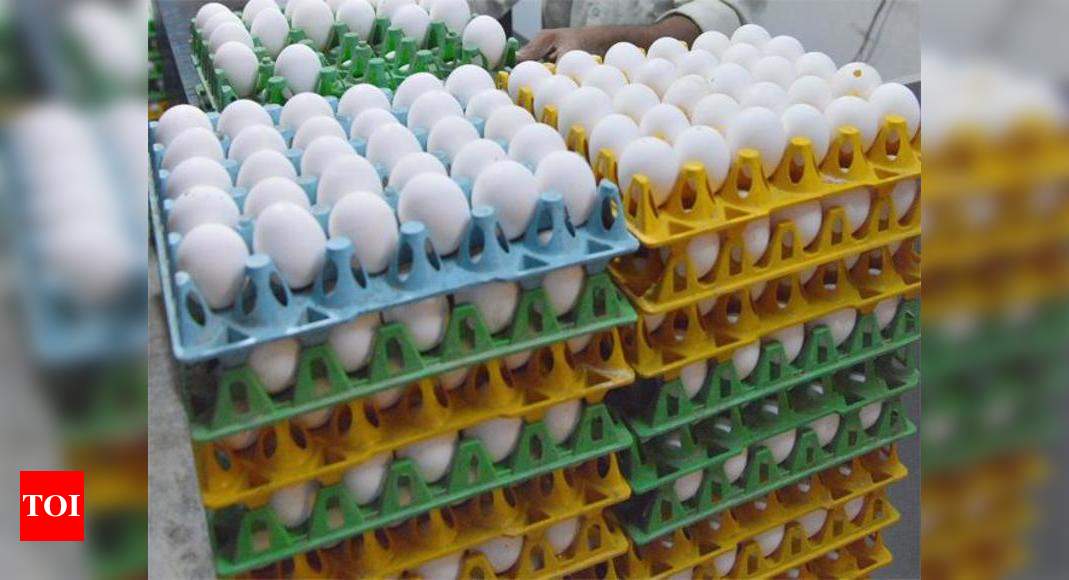 Egg prices Egg on the boil! Prices shoot up 40 India Business News