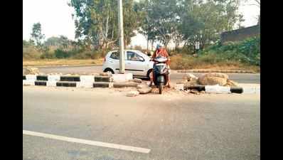 Cracked Mohali medians open path to accidents