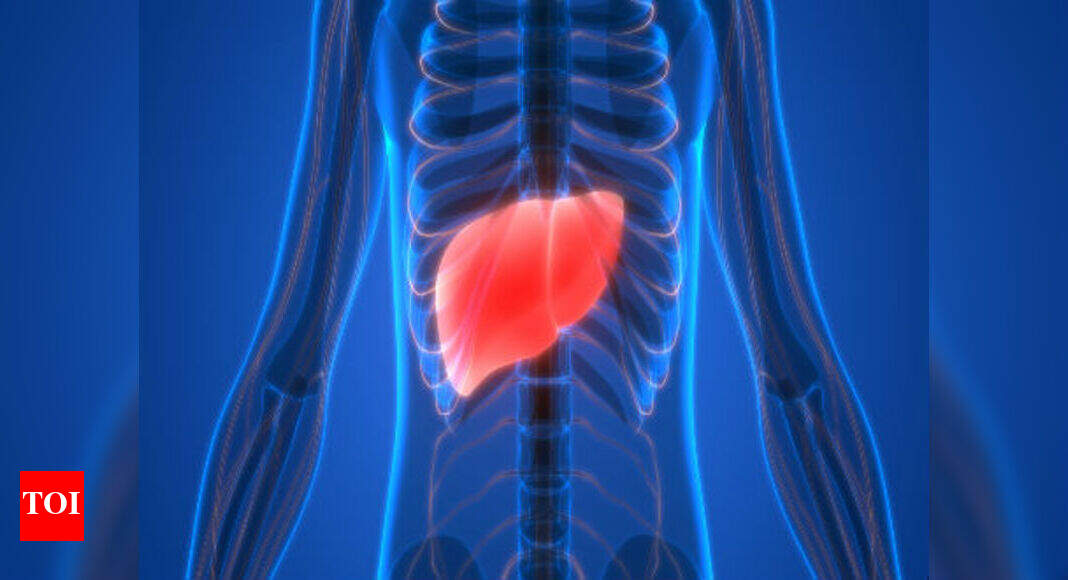 Liver Cirrhosis Causes Signs Symptoms Prevention Times Of India