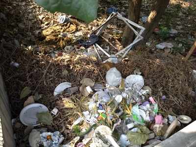 Garbage near Lajpat Nagar post office