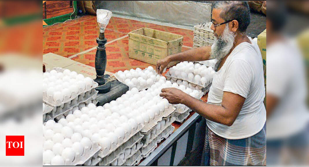 Egg prices slide, to stabilize in a few days Kolkata News Times of India