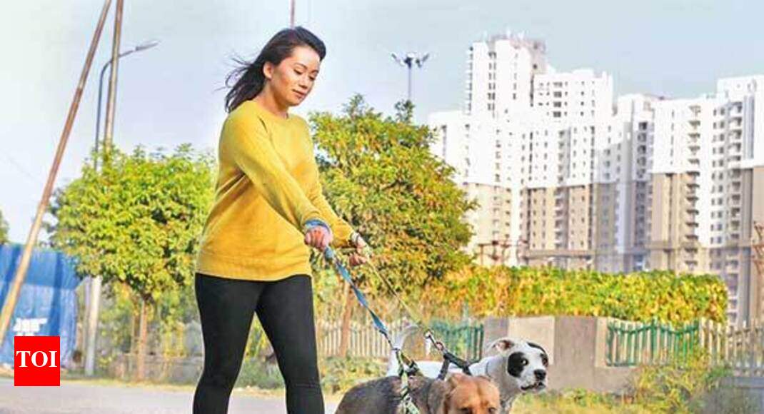 No room for dogs inside Noida's posh condominiums? Noida News Times
