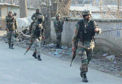 CRPF jawan injured in petrol bomb attack in J&K: Police