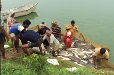 Promote Aquaculture Farming Business