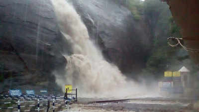 Watch: Water gushes from Courtallam Falls following heavy rains in Tamil Nadu
