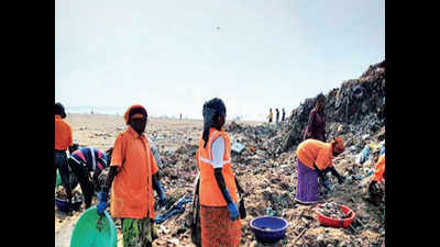 Beach clean-up firms to face stiff fines for default