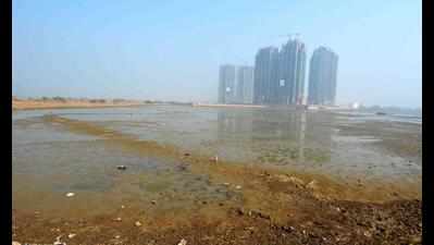 Basai arid or a wetland? NGT to decide