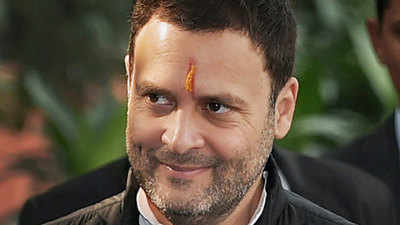 No contenders against Rahul Gandhi for Congress top post