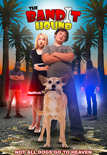 The Bandit Hound
