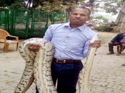 Allahabad University professor rescues 9-feet-long python | Allahabad ...