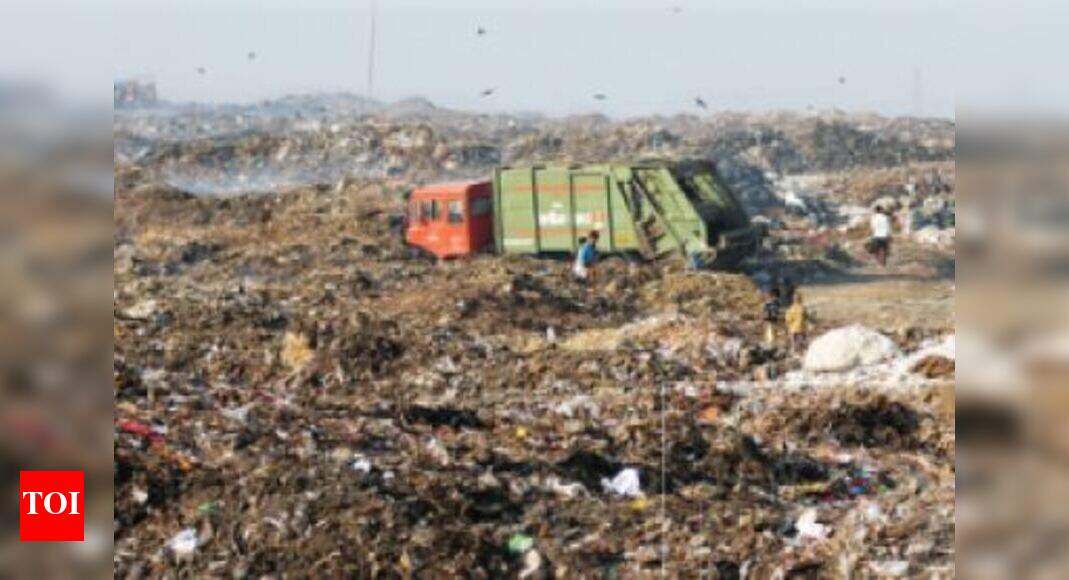 Sustainable waste management case study picture
