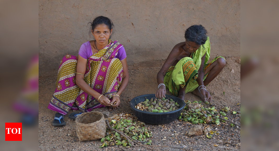 Forest produce MSP hiked but not enough to provide fair returns