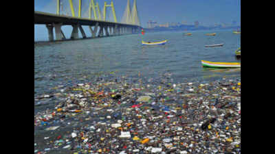 Bye-bye bin liners? Govt proposal to slash plastic use segregates society