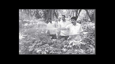 Northeast migrant workers flee Bengaluru plantations