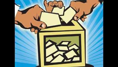 Patidar-dominated seats register drop in voting