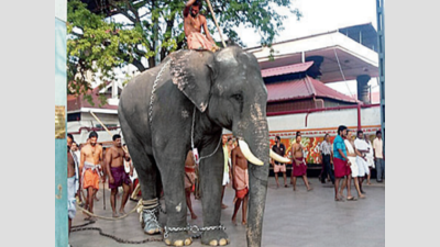 Mahout dies as elephants run amok Guruvayoor temple