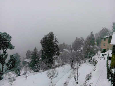 Himachal Pradesh Reels Under Cold Wave Conditions, Snowfall Likely On ...