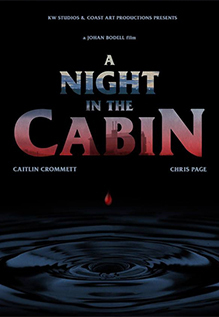 A Night In The Cabin