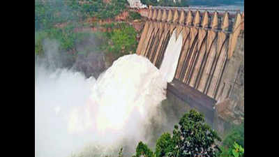 Cut Andhra's share in Krishna water, says Telangana