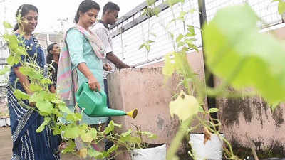 Kochi school auctions organic produce to encourage farming