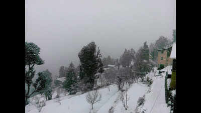 Intense cold conditions in Himachal Pradesh after snowfall, rains