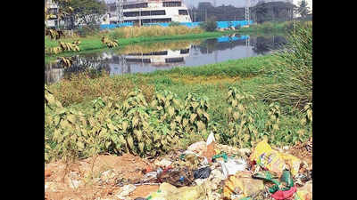 Firms offer to revamp Veerasandra Lake, but no takers for Kengeri