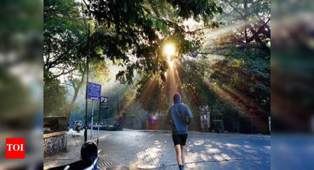 Warm weather prevails in Kolkata Kolkata News Times of India