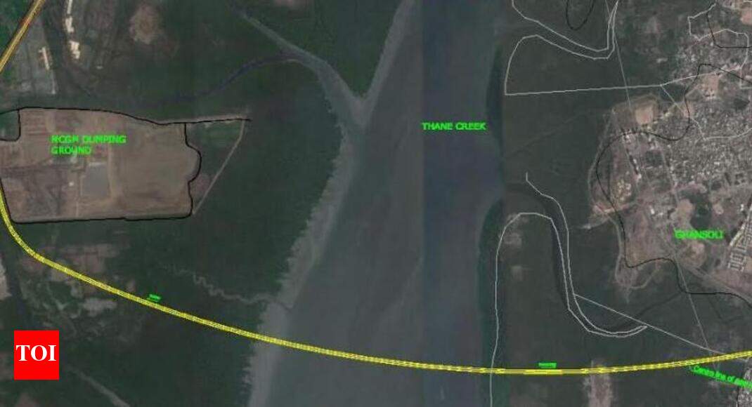 Maharashtra CM caught between Flamingo sanctuary and major infra